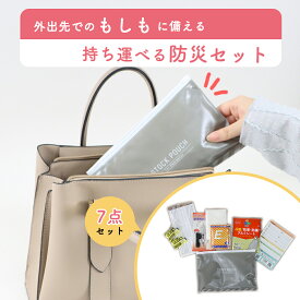 【10%OFF】外出先での緊急事態に《災害常備ポーチ》災害対策 防災グッズ 非常用 防災セット 常備 コンパクト 軽量 持ち運び 便利 おしゃれ シンプル 水に強い 汚れに強い 防災カード 備蓄氷糖 ティッシュ 簡易トイレ マスク ホイッスル アルミブランケット 安心 安全