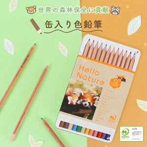 yP10{z؎12FFMsʓFMn[lC`[ bT[p_tXєF GR}[N v[g i`fUC j̎q ̎q w ct ۈ牀 Mtg 12F Zp 