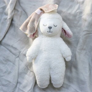 Hiq@ς Sleep Sheep ʂ r RۉH~jnJ`t 2_Zbg I[KjbNRbggp Lien de famille ht@~[ sɂȂ􂨂ȃI[KW[