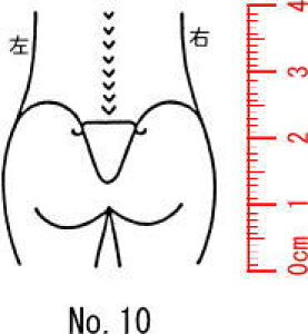 l̐}X^v S@×p@Je@yz10