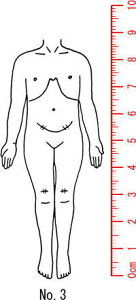 l̐}X^v S@×p@Je@ySg@ʁz03