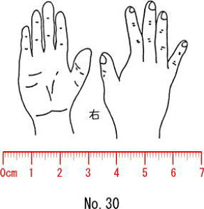 l̐}X^v S@×p@Je@yEz30