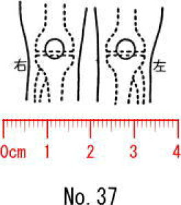 l̐}X^v S@×p@Je@yG@Oz37