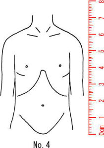 l̐}X^v S@×p@Je@y㔼g@ʁz04