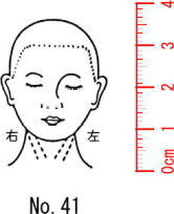 l̐}X^v S@×p@Je@y@Az41