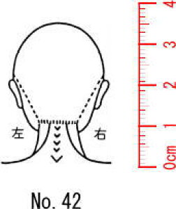 l̐}X^v S@×p@Je@y@Az42