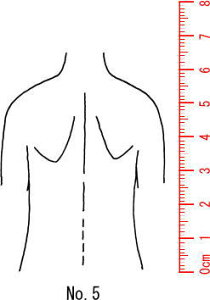 l̐}X^v S@×p@Je@y㔼g@wʁz05