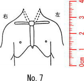 人体図スタンプ ゴム印　医療用　カルテ　【胸部】07