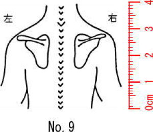 l̐}X^v S@×p@Je@yz09