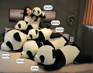 GGp_ ʂ  60/80/100/120/150/200cm 킢 ʂ 傫  v[g Mtg lC LbY q w l  a  Aj} LN^[ ӂӂ