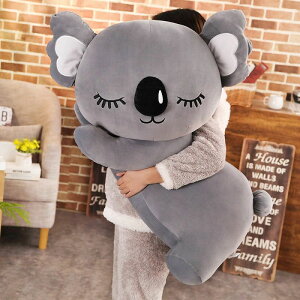 ʂ RA  koala NX}X a v[g LO/蕨/Be A{Jh  傫  ʂ 70cm@2F