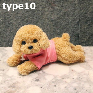 j Ck gC  Iׂ18X^C 炩 35 蕨  YQ efBEhbO  ʂ X  NbV CeA NbV NX}X Aj}  