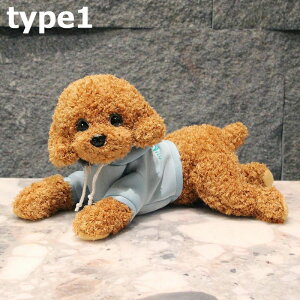 j Ck gC  Iׂ18X^C 炩 35 蕨  YQ efBEhbO  ʂ X  NbV CeA NbV NX}X Aj}  