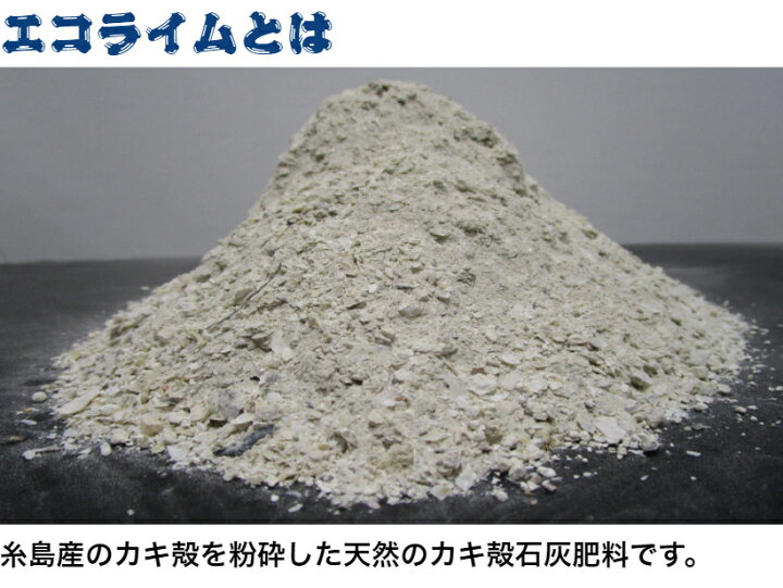 楽天市場 糸島産 カキ殻肥料 エコライム500ｇ 天然石灰 アルカリ性 効果が持続 有機石灰 牡蠣殻 家庭菜園 農業 野菜 肥料 畑 プランター 簡単 効果長持ち ガーデニング ベランダ菜園 大坪ｇｓｉ 楽天市場店