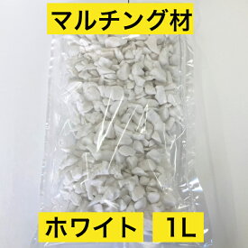 楽天市場 観葉植物 土隠し 花 観葉植物 花 ガーデン Diy の通販 楽天市場 観葉植物 土隠し 花 観葉植物 花 ガーデン Diy の通販