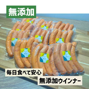 []@v[\[Z[W@Y@@eʁ@ECi[@BBQ@o[xL[@Lv@AEghA@@Y@kCY@p[eB[@Ɩp@@؁@YE