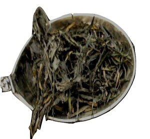 iAJNEMoTE΂EMo\EjC@200g×2@H׈ՂS^Cv@