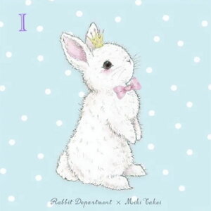 【アウトレット】【MikiTakei】うさぎ柄 メガネクロス【たけいみき】全12柄