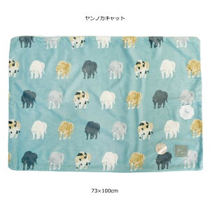 y[֕szmJLbg fWvuPbg Ђ| y73×100cmz