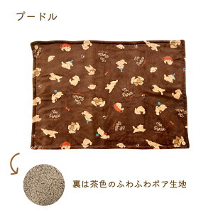 ݌ɌƂȂ܂Iy[֕szySALEzAj} 3WAYЂ| ӂӂ uPbg y70×100cmzyNH[^[TCYzyÓdCh~Hzy2̂݁z