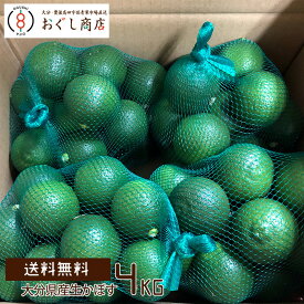 .【送料無料】大分カボス！産地直送かぼす〜約4kg 箱入り〜「つぶらなカボス」でカボス不足の大分県から発送！