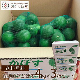 .【送料無料】大分カボス！産地直送かぼす〜約4kg入り×3箱セット〜「つぶらなカボス」でカボス不足の大分県から発送！・