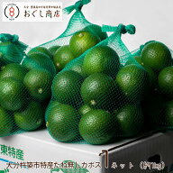 .大分杵築市特産　たね無しカボス 1ネット（約1kgいり）/かぼす/種なし/大分県産