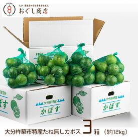 .【送料無料】大分杵築市特産　たね無しカボス 3箱（約4kg×3箱）/かぼす/種なし/大分県産