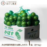 .【送料無料】大分杵築市特産　たね無しカボス　1箱（約4kg入り）/かぼす/種なし/大分県産