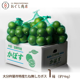 .【送料無料】大分杵築市特産　たね無しカボス　1箱（約4kg入り）/かぼす/種なし/大分県産