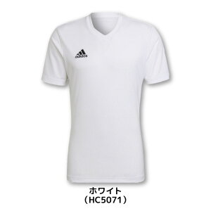 24fw AfB_X ADIDAS ZG486 53_ENTRADA22_W[W TbJ[ TbJ[EFA vNeBXVc  V[gX[u g[jOgbv W[W[ AEROREADY XtBbg VlbN