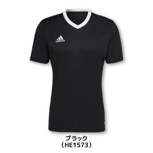 24fw AfB_X ADIDAS ZG486 53_ENTRADA22_W[W TbJ[ TbJ[EFA vNeBXVc  V[gX[u g[jOgbv W[W[ AEROREADY XtBbg VlbN