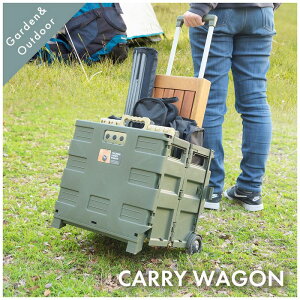 【メーカー直送品】24y 東谷 azumaya LFS-35 フォールディングキャリーワゴン キャリーワゴン 折りたたみ キャスター付き 収納 収納ケース コンパクト 運べる 持ち手つき ロック付き 大容量 アウ