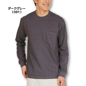 25FW wCY HANES H5196 L/S POCKET T-SHIRT r[tB[ TVc   |Pbg Vv IV K
