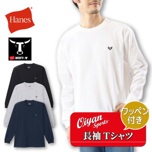 25FW wCY HANES H8-X401 LONG SLEEVE T-SH r[tB[ TVc   by Vv IV K