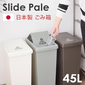 スライド式フタ付きダストボックス45L 日本製 ごみ箱 ゴミ箱 45リットル ペール 幅27cm 高さ60cm 低め スライド ロック機能 キャスター付き スリム コンパクト キッチン カウンター下 分別 蓋付き 省スペース おしゃれ シンプル スタイリッシュ 北欧 白