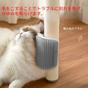 L ܂Ƃ IV Lp ݎ rیt щ@\ ȃXy[X