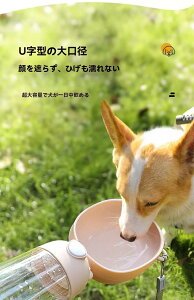 yLpz ybgEH[^[{g ObY ybgpi ybg   {g  ybg{g ybg ObY U Oo hCu s Rh~ ^b` 蕨 Oop|[