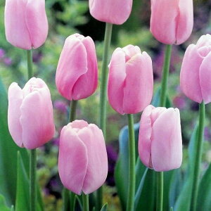 `[bv  sN 3Zbg HA  R쑐 h F@241007