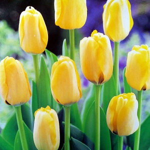 `[bv  F 3Zbg HA  R쑐 h@241007