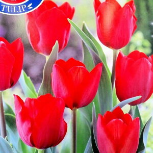 `[bv  ԉ bhCvbV 3Zbg HA R쑐 h@241007