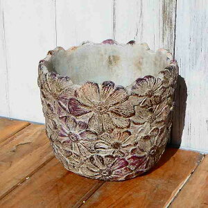  y^|bg a16cm PP-1 5 eRb^ t[ Ԗ͗l [t AeB[N ꌊ F ށ@250228