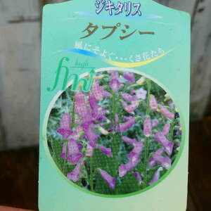 WL^X c ^vV[ 3.5 ϊ HA t̉ h WM^X@251016