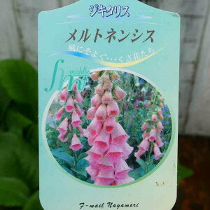 WL^X c glVX 3.5 ϊ HA t̉ h WM^X@251016