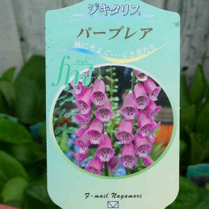 WL^X c p[vA 3.5 ϊ HA t̉ h WM^X@251016