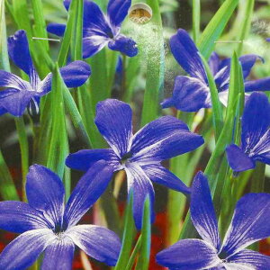 eRtBA VAmNbJX  2 󏭕i 251016