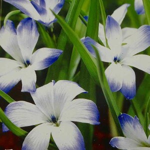 eRtBA VAmNbJX Cqgj[  2 󏭕i 251016