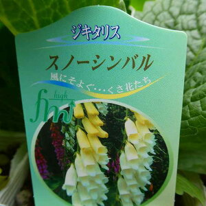 WL^X c Xm[Vo 3.5 ϊ HA t̉ h WM^X@251016