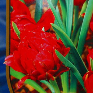  `[bv e^e^ 3  d炫 HA  R쑐 h 251018