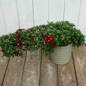 e e ԉ Rd ԐFC 5 A  251018 251018